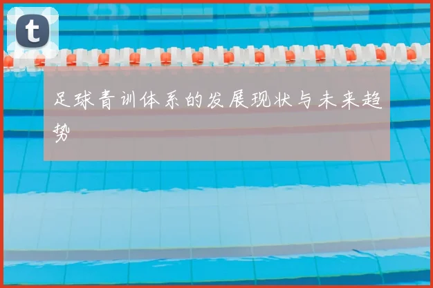 足球青训体系的发展现状与未来趋势