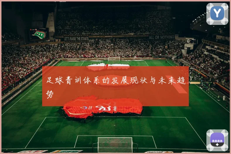 足球青训体系的发展现状与未来趋势